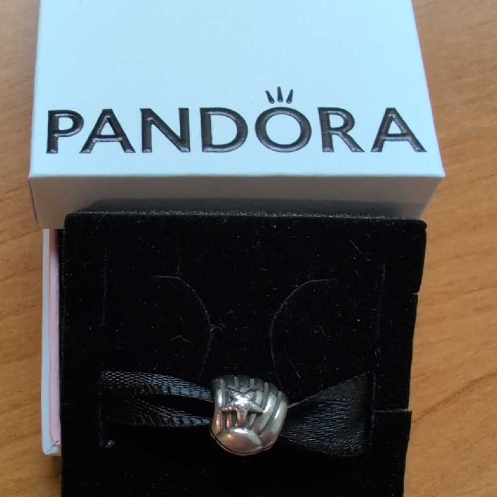 Pandora Silver Charm